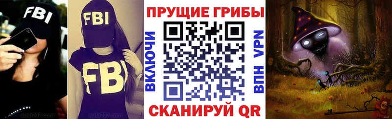 KRAKEN Чаплыгин Псилоцибиновые грибы MAGIC MUSHROOMS